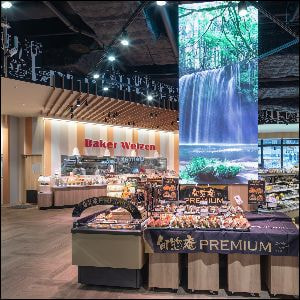 インタラクティブ