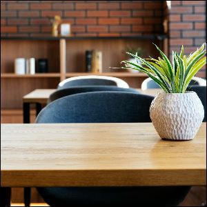 テーブルグリーン