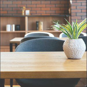 テーブルグリーン